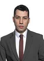 Dobrica Veselinović